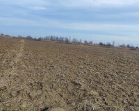 yevlax neriman kend 3200 sot , Yevlaxda