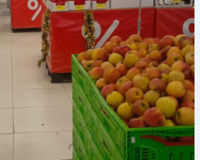 Abşeron ərazisi 20 otaq , Abşeron rayonu