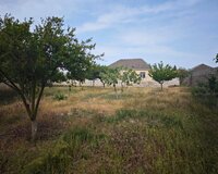 Buzovna qəsəbəsi, 8 sot , Xəzər rayonu