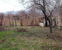 Zaqatala rayonu 3 otaq , Zaqatalada