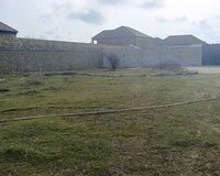 Albalı bağ massivi 5.5 sot , Sabunçu rayonu