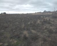 Kürdəxanı qəsəbəsi, Ləhic bağları 25 sot , Sabunçu rayonu