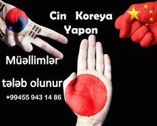 Çin Dili Müəllimi Axtarılır