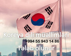 Koreya dili müəllimləri tələb olunur
