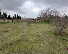 Buzovnada torpaq sahəsi satılır