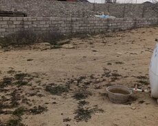 6 sot torpaq satılır