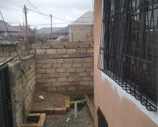 Dircelis kucesi binegedi