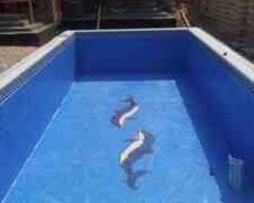 Hovuz tikintisi və təmiri