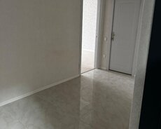 Bağça şəh 2 ot stud