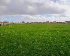 Buzovnada 120 sot torpaq sahəsi satılır