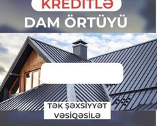 Dam örtüyü