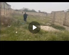 Torpağ sahəsi satılır