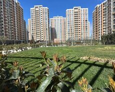 Yasamal rayonu Müstəqillik küçəsi