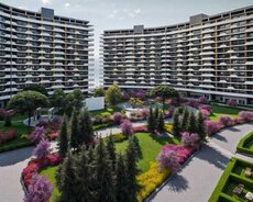 Greenville Residence kupçalı mənzil satılır