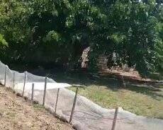 Novxanı dəniz mənzərəli torpaq satılır