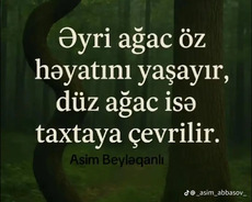 Dayə axtarılır