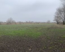 Xacmaz rayonu Carxi kend erazisindedi 32 sotdur Baki yolu usd