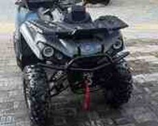 Mikilon 200L, 2024 il