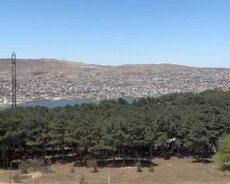 Saray qəsəbəsi, Polad Həşimov küçəsi