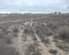 Ləhiş bağlarında 25 sot torpaq satılır