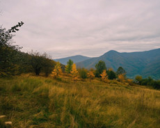 Qubada.torpaq sahəsi satılır