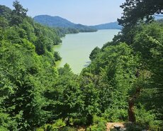 Çin dili tercumecisi