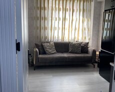 Masazır Tamstorenin arxasında kupça Əşyalı mənzil