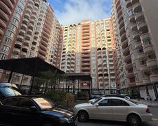 Badamdar, oxford school yanında