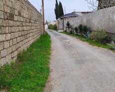 Satılır Bilgəh Albalılıq bağları 10 sot