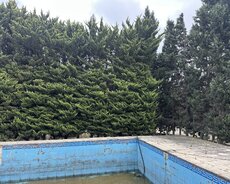 Novxanıda, 16 sot torpaq