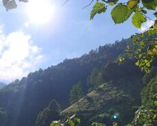 Qubada torpaq satılır