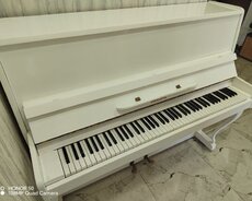 Təcili Yeni kimi Akkord pianino – real alıcıya endirim