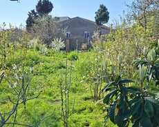 Saray qəsəbəsi, Molla Pənah Vaqif küçəsi