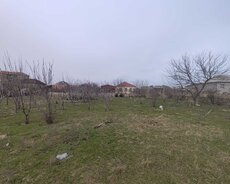 Saray qəsəbəsi, Arif Heydərov küçəsi