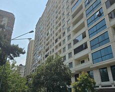 Təhsil Nazirliyinın yanında