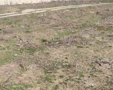 Mehtiabadda torpaq sahəsi satılır