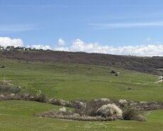 Şamaxı Rayon Nağaraxana kənd