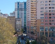 Elmlər Akademiyası m/st