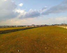 51 sot torpaq satılır Saray təzə yolda