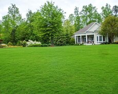 Qazon əkilişi suvarma sistemi ilə birlikdə