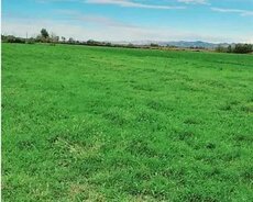 Boş torpaq sahəsi satılır