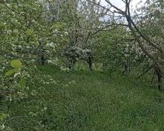 Təc1li torpaq satılır