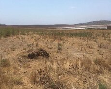 novxanida 56 sot torpaq sahesi satilir