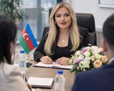 Məlumat Meneceri axtarılır