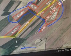 58 hektar Kənd Təsərrüfat Təyinatlı torpaq