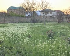 Yeni Sarayda Prestijli yerdə çıxarışlı Torpaq Satılır