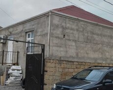 Saray gesebesi