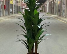Suniqazon, kovralit, dekor – Green Layn təqdim edir