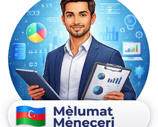 Məlumat meneceri