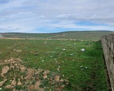 Novxanı qəsəbəsi, Vəli Axundov küçəsi